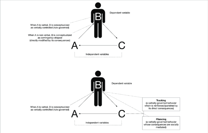 Behavior rule governed contingency shaped versus observational language learning ppt powerpoint presentation steven dworkin ph