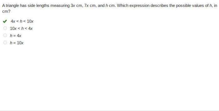 A triangle has side lengths measuring 3x cm