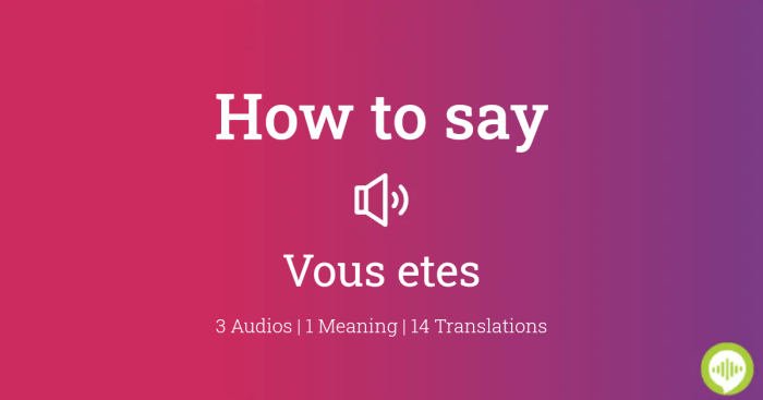 Vous etes french map phrase