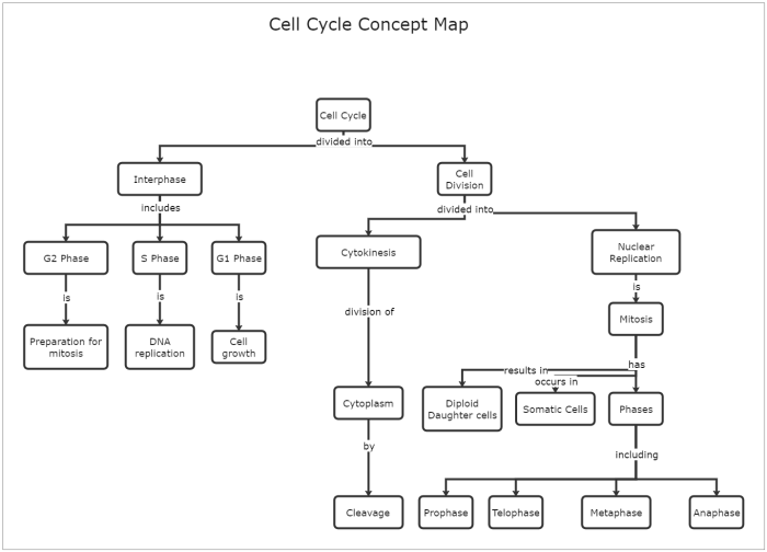 Concept mapping cell division answer key