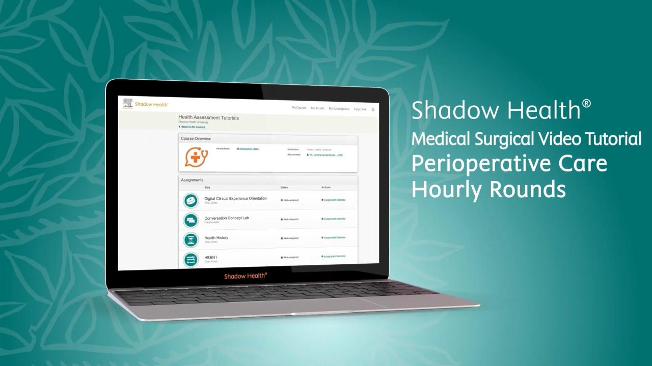 Perioperative care hourly rounds shadow health