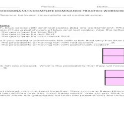 Codominance incomplete worksheet key answer dominance answers worksheeto via